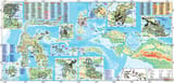 Indonesian Nickel Map 2025