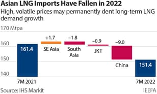 IEEFA: Unaffordable LNG prices undermine rapid demand growth forecasts in key Asian markets