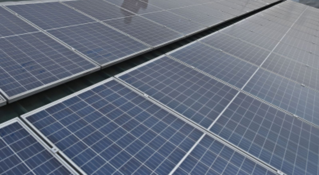 PLN IP Services partners TMAI to develop solar and clean energy projects