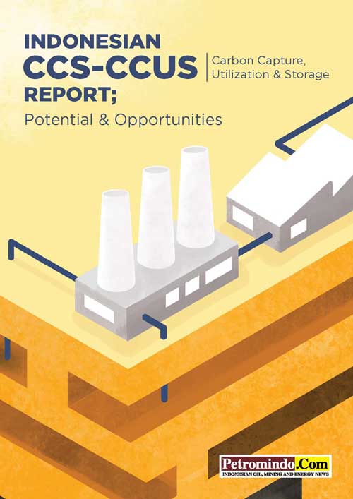 Indonesian CCS-CCSU Report
